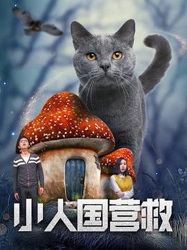 国产成人精品免费视频大全办公室
