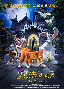 久久精品亚洲视频