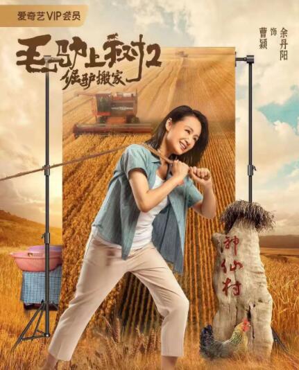 人与动物xxx