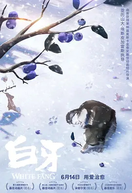 h视频在线免费播放