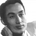 黄色三极片