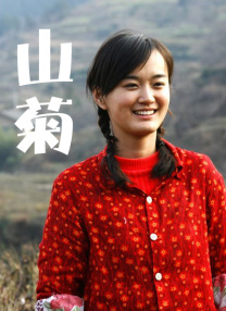 伊人在线视频观看