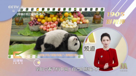 母子乱论